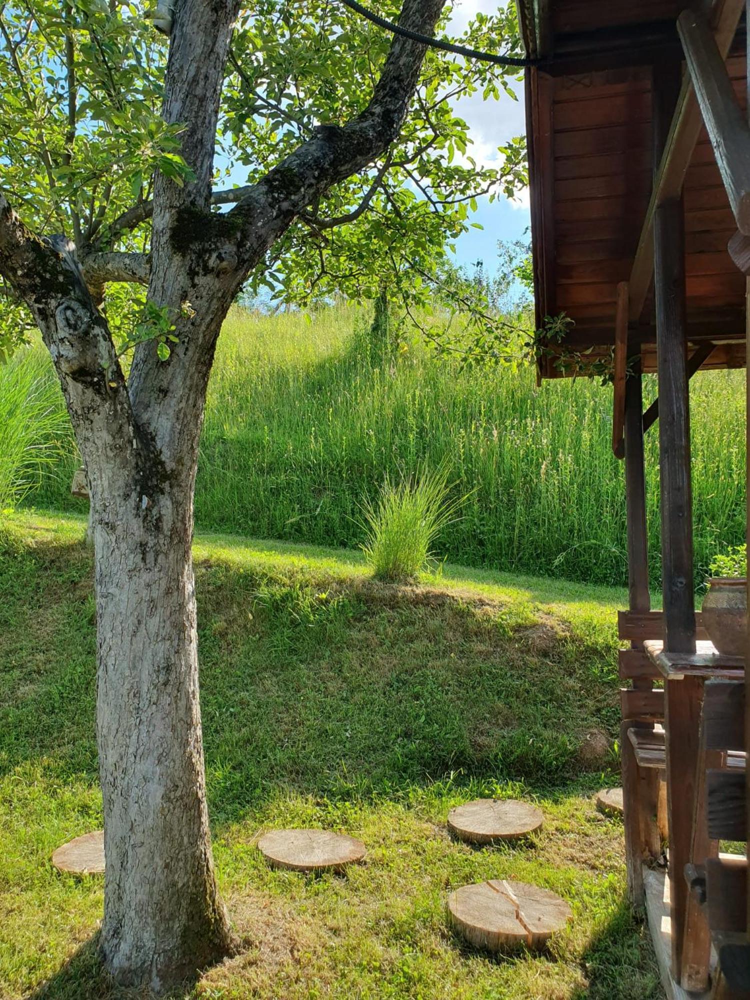 Cabana Valea Lui Mas Robaia Ngoại thất bức ảnh